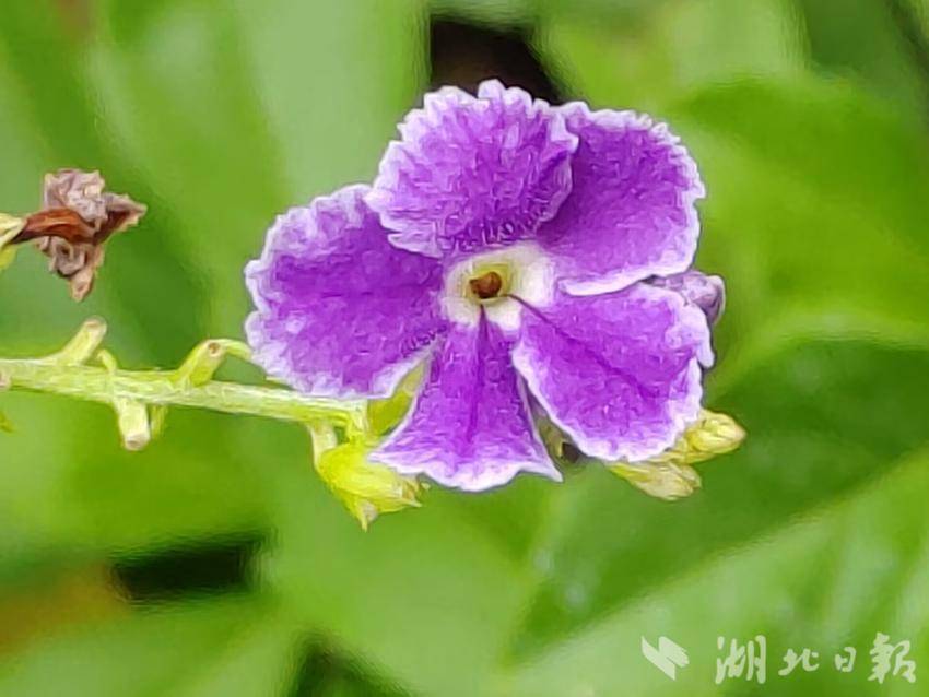365bet客户端下载
